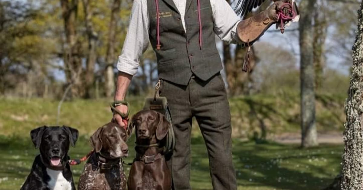 Jersey Falconry Activity Visit Jersey